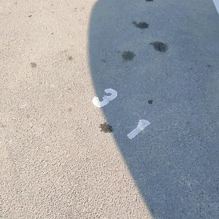 Apartamento Luxury Kln By Alezzi Mamaia Nord *